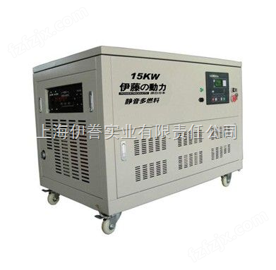 15KW*汽油发电机/上海汽油发电机厂